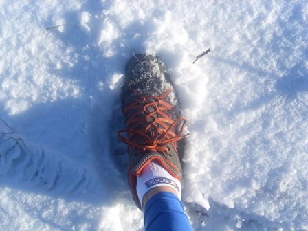 De eerste stap in 2010